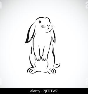 Vector of rabbit design on white background. Easy editable layered vector illustration. Wild animals. Stock Vector