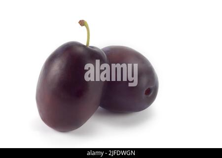 Fresh plums fruit isolated on bright background. Close up view. Stock Photo