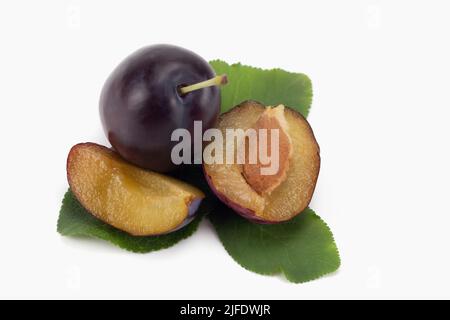 Whole and piece plums with leaves and seeds isolated on bright backgrounds. Close up view. Stock Photo