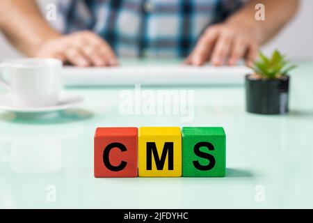 An employee behind a desk at a computer, wooden blocks, abbreviation CMS, Content Management System, software, used to publish content on websites, mo Stock Photo