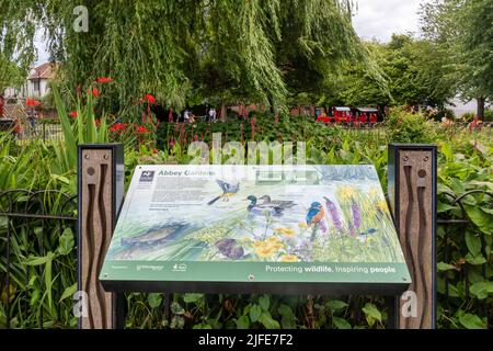 Hampshire and Isle of Wight Wildlife Trust information board in Abbey Gardens, Winchester, Hampshire, UK, about River Itchen wildlife and trails Stock Photo