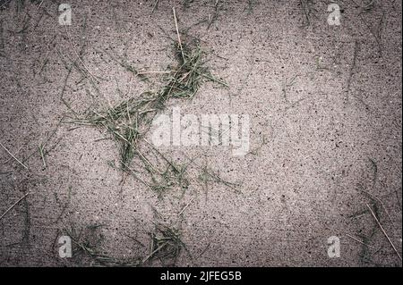 Grass clippings strewn across a residential sidewalk after mowing.  Stock Photo