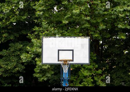 Basketball hoop in a forest Stock Photo
