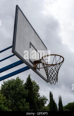 Basketball hoop in a forest Stock Photo
