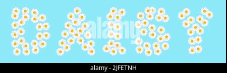 Filled DAISY lettering made from white chamomiles isolated on blue background. Springtime floral composition. Stock Photo