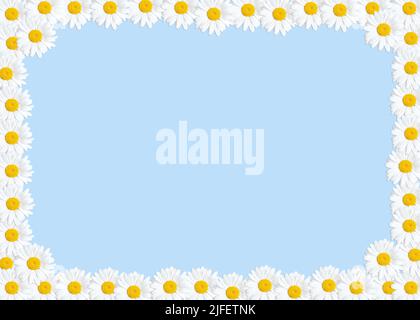 Vivid springtime background with a floral frame made from daisies. Stock Photo