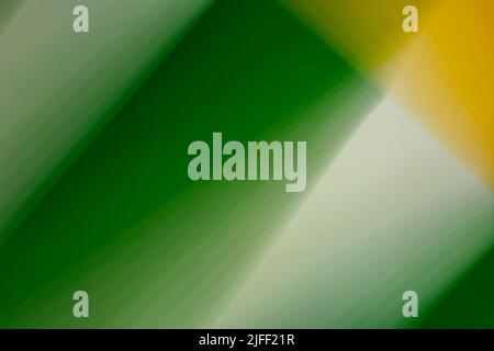 Abstract green yellow background banner with stripes and highlights. Smooth gradient. Backdrop Stock Photo