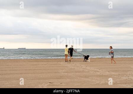 Valencia, Spain. 1st July, 2022. People with a dog seen at the Pinedo Beach. The beaches of Valencia are one of the main tourist attractions of the city. (Credit Image: © Xisco Navarro/SOPA Images via ZUMA Press Wire) Stock Photo