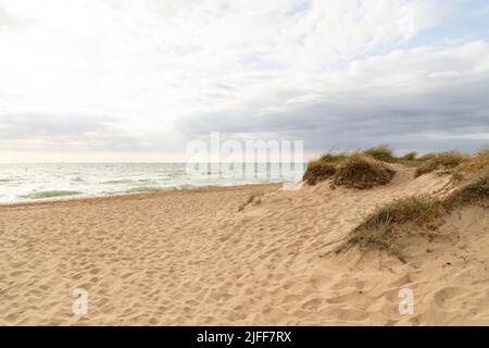 Valencia, Spain. 1st July, 2022. View of the La Garrofera Beach on a sunny day. The beaches of Valencia are one of the main tourist attractions of the city. (Credit Image: © Xisco Navarro/SOPA Images via ZUMA Press Wire) Stock Photo