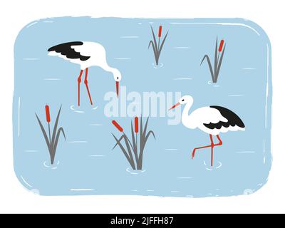 Cute storks birds in the swamp. Simple flat vector illustration of wetland. Stock Vector