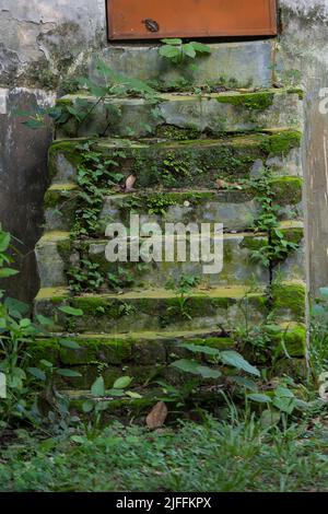 old concrete stair in a park Stock Photo