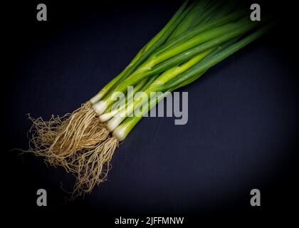 Scallions on a dark surface Stock Photo