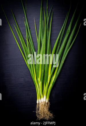 Scallions on a dark surface Stock Photo