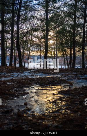 sunset reflecting on a lakeside frozen puddle in the woods Stock Photo