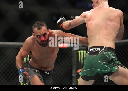 LAS VEGAS, NV - JULY 2: (L-R) Gabriel Green punches Ian Garry in their Welterweight bout at UFC 276 at the T-Mobile Arena on July 2, 2022 in Las Vegas, Nevada, United States. (Photo by Alejandro Salazar/PxImages) Stock Photo