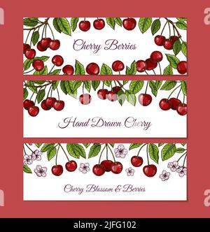 Set of colorful horizontal cherry designs. Vector illustration in colored sketch style Stock Vector