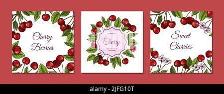 Set of colorful square cherry designs. Vector illustration in colored sketch style Stock Vector