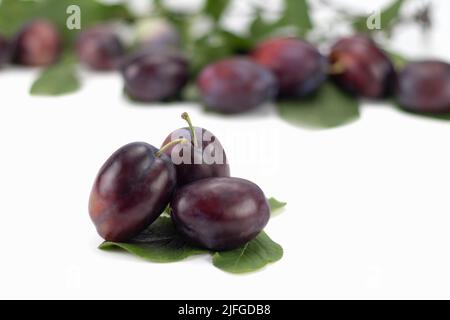 Fresh plum fruit with green leaf and cut plum slices isolated on bright background. Selective focus. Stock Photo