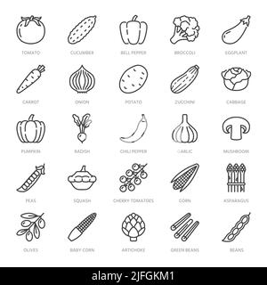 Vegetables flat line icons set. Fresh food - tomato, broccoli, corn, pepper, carrot, pumpkin vector illustrations. Outline pictogram for vegetarian Stock Vector