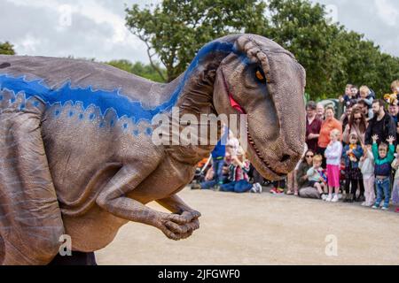 Dino Jurassic Live in Southport, Merseyside.  UK Entertainment, Jurassic Live- Meet the scarily realistic T-Rex Dinosaurs show event roarsome adventure in Victoria Park Far Away Land family festival.  Jurassic World Live is a live show produced by Feld Entertainment and NBC Universal based on the Jurassic World franchise.  Families with children flocked to Victoria Park for a 'Far Away Land' to see animatronic giant walking dinosaurs a pre-historic weekend experience. Stock Photo