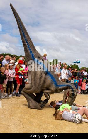 Dino Jurassic Live in Southport, Merseyside.  UK Entertainment, Jurassic Live- Meet the scarily realistic T-Rex Dinosaurs show event roarsome adventure in Victoria Park Far Away Land family festival.  Jurassic World Live is a live show produced by Feld Entertainment and NBC Universal based on the Jurassic World franchise.  Families with children flocked to Victoria Park for a 'Far Away Land' to see animatronic giant walking dinosaurs a pre-historic weekend experience. Stock Photo