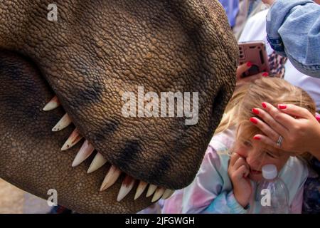 Dino Jurassic Live in Southport, Merseyside.  UK Entertainment, Jurassic Live- Meet the scarily realistic T-Rex Dinosaurs show event roarsome adventure in Victoria Park Far Away Land family festival.  Jurassic World Live is a live show produced by Feld Entertainment and NBC Universal based on the Jurassic World franchise.  Families with children flocked to Victoria Park for a 'Far Away Land' to see animatronic giant walking dinosaurs a pre-historic weekend experience. Stock Photo