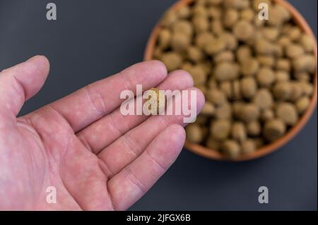 Pellet of dry food for neutered and spayed dogs lies in the palm of man's hand. Adult male is holding the pellet in round shape. Bowl is full of food Stock Photo