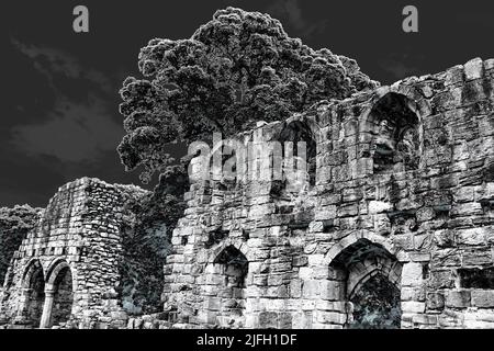 Basingwerk Abbey, Greenfield Valley Heritage Park, Wales Stock Photo