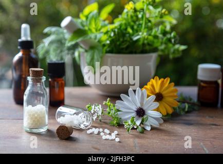 Homeopathy pharmacy, herbal, natural medicine. Homeopathic globules scattered out of a glass bottle, fresh herb in a mortar, green nature background. Stock Photo