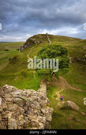 The descent to Sycamore Gap looking east along Hadrian’s Wall at Steel Rigg, Northumberland, England Stock Photo