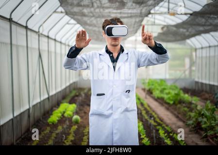 Portrait of handsome agricultural researcher using VR glasses for research at plantation in industrial greenhouse Stock Photo