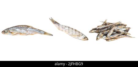 Dry small fish isolate on white background, set Stock Photo