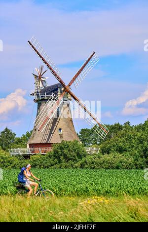 Tourist woman passing the Windmill in Oldsum  on June 29, 2022  in Wyk, Foehr Island, Germany.  © Peter Schatz / Alamy Stock Photos Stock Photo