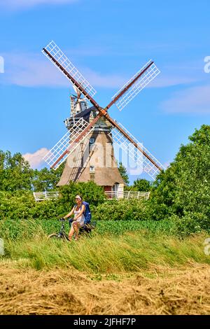 Tourist woman passing the Windmill in Oldsum  on June 29, 2022  in Wyk, Foehr Island, Germany.  © Peter Schatz / Alamy Stock Photos Stock Photo