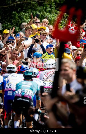 Vejle to Sonderborg, Denmark. 3rd July, 2022. Illustration picture of the pack of riders pictured in action during stage three of the Tour de France cycling race, 182km from Vejle to Sonderborg, Denmark on Sunday 03 July 2022. This year's Tour de France takes place from 01 to 24 July 2022 and starts with three stages in Denmark. BELGA PHOTO JASPER JACOBS Credit: Belga News Agency/Alamy Live News Stock Photo