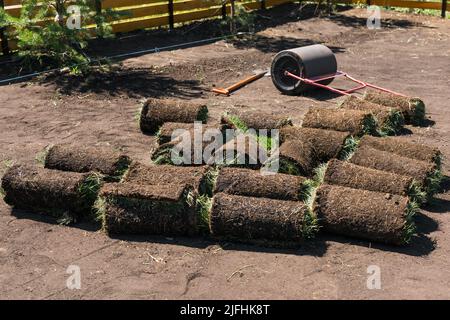 Installing new grass turfs from a roll - Garden building theme Stock Photo