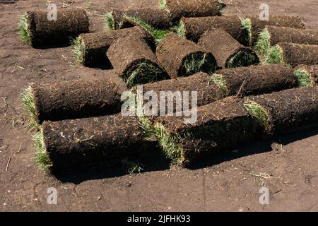 Installing new grass turfs from a roll - Garden building theme Stock Photo