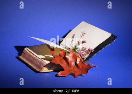 Dry red oak leaf in old book. Heather flowers. Purple paper background. Stock Photo