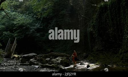 View inside of green jungles, concept of travelling and wild nature. Creative. Summer green trees in a shadow. Stock Photo