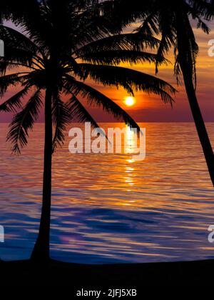 Premium Photo  Dark palm trees silhouettes on colorful tropical ocean  sunset background