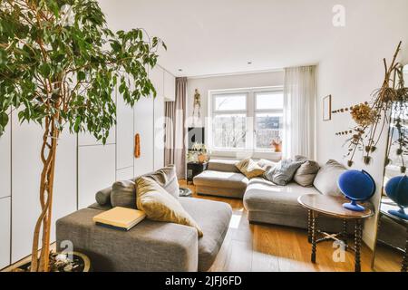 Comfortable sofa and armchair placed on soft carpet near windows in cozy light living room in modern flat Stock Photo