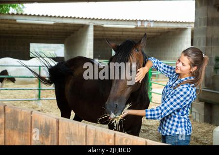Woman feeding horse Stock Photo