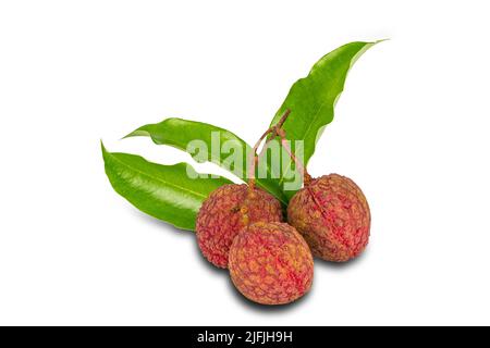 Bunch of lychee with green leaves isolated on white background with clipping path. Lychee is tropical fruit native to China and some country in southe Stock Photo