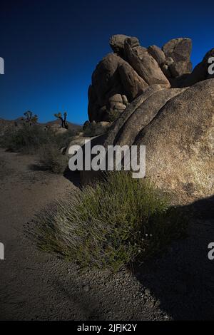 Joshua Tree National Park Stock Photo