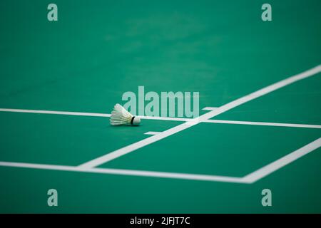 Badminton feather shuttlecock at a corner on green Badminton court. Stock Photo