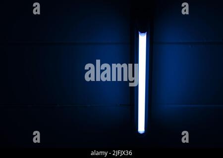 Detail of a fluorescent light tube mounted on a wall Stock Photo