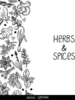 Template for packing herbs and spices, drawn element in doodle style. Silhouettes of plant elements. Herbs and spices inscription, handwritten. Chili, Stock Vector