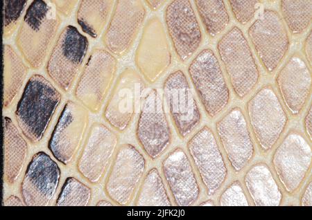 Artificial Reptil Snake Skin Seamless Pattern Texture Stock Photo