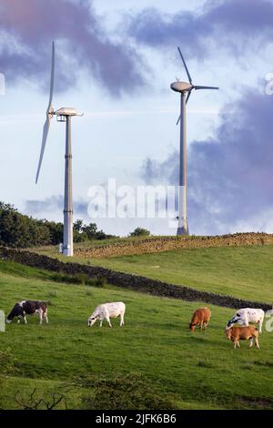 Small wind turbines on farmland in Burnley. Stock Photo