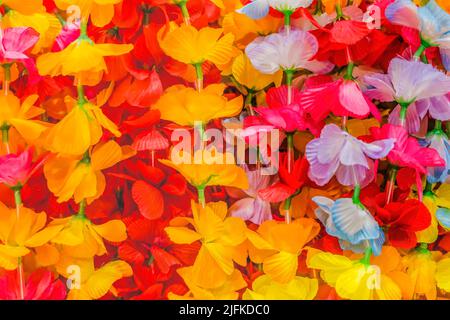 Hawaiian flower necklace hi-res stock photography and images - Alamy